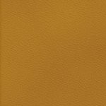 los angeles chargers