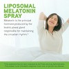 DaVinci Labs Liposomal Melatonin Spray - Dietary Supplement for Restful Sleep, Menopause and Immune Support* - Gluten-Free - Vegetarian - 30mL - 3 of 4