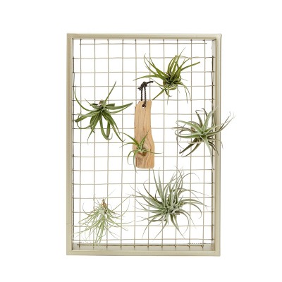 Juvale Unique Air Plant Wall Holder Frame Hanger, Wall Mounted Planter for Decor (Gold, 11 x 16 in)