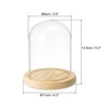 Unique Bargains Wooden Base Plants Home Decor Glass Bell Jar Display Case - 2 of 4