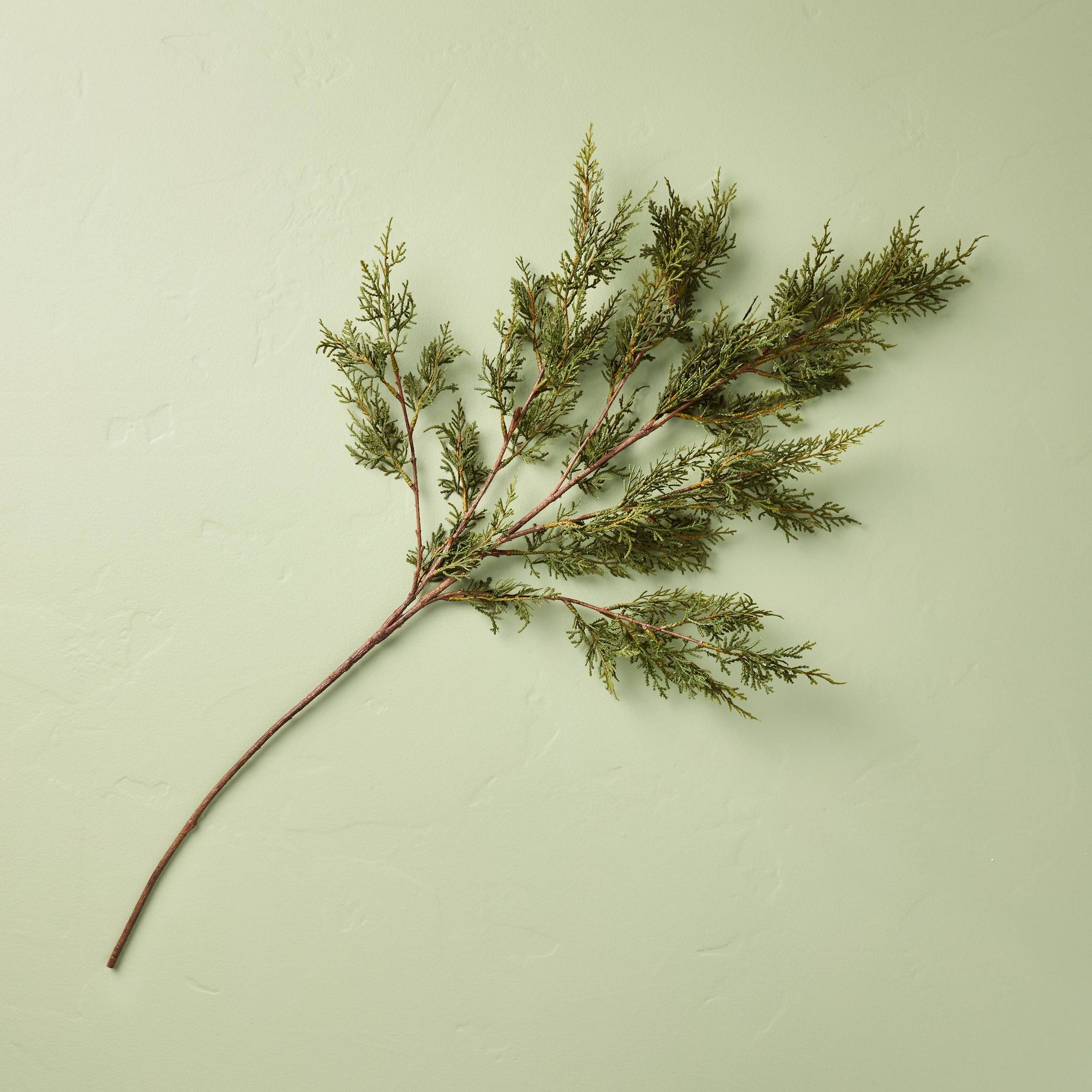 Cedar Branch - Hearth & Hand™ with Magnolia
