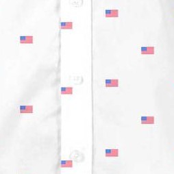 white grand ol flag