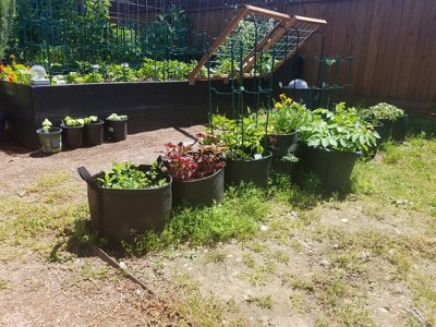 Gardener's Best Potato Grow Bag - Black : Target