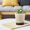 Southern Patio 8.5"H Alice Planter in Light Brown Finish (2 Pack) - Southern Patio - 2 of 4