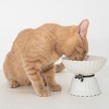 Dexypaws: Elevated Ceramic Bowl For Cats - White & Black Flower  8.45oz Capacity - 2 of 4