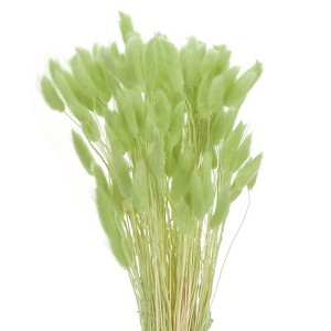 Unique Bargains Decorative Natural Dried Floral Bunny Tail Artificial Plants 120 Pcs - 1 of 4