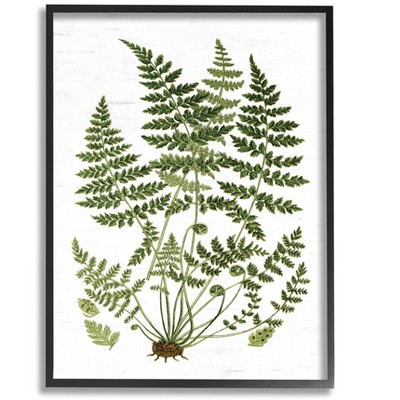 Stupell Industries Forest Botanicals Charming White Willow Greenery