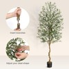 Whizmax Artificial Olive Tre, Faux Potted Plant with Realistic Trunk, Adjustable Branches & Fruits, Indoor Tropical Decor for Home & Office - 4 of 4