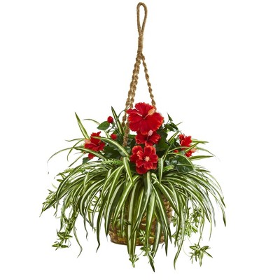 Nearly Natural 31-in Hibiscus & Spider Artificial Plant in Hanging Basket