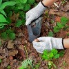 attop Bend Free Tool for Planting Bulbs - 4 of 4