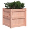vidaXL Garden Planter - Decorative Outdoor Herb Plant Pot - Solid Douglas Wood, 19.7" Square - 4 of 4