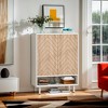 Hommoo 18-Pair Shoe Cabinet - 4 of 4