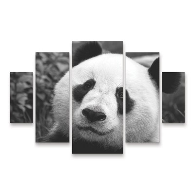 Trademark Fine Art SD Smart Giant Panda 5 Piece Panel Set Art