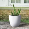 Rosemead Home & Garden, Inc. Concrete Outdoor Planter Pot White 18"x18" - 2 of 4