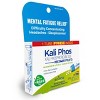 Kali Phosphoricum 30C 3 MDT by Boiron Homeopathic Medicine For Mental Fatigue Relief  -  60 Tablet - 4 of 4