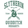 Boys Harry Potter Slytherin Quidditch Team Seeker T Shirt - 2 of 4