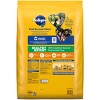 Pedigree Roasted Chicken, Grain and Vegetable Flavor Dry Dog Food - 14lbs - 2 of 4
