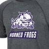 NCAA TCU Horned Frogs Boys' Gray Poly T-Shirt - image 3 of 3