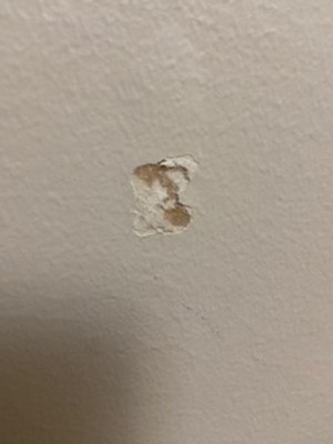 Guest review image 1 of 4, zoom in