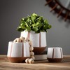 Sullivans 5.25", 4.25" & 3" Modern Ceramic Planter Set of 3 - 3 of 3