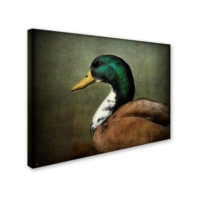 Trademark Fine Art -Jai Johnson 'Mallard Duck Portrait' Canvas Art