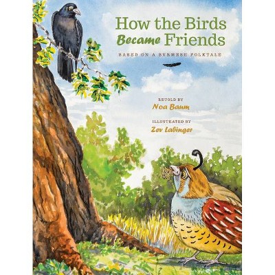 How the Birds Became Friends - by  Noa Baum (Hardcover)