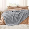 Cozy Comfort by Bedsure-Cute Soft Cozy Checkered 260GSM Throw Blanket - 3 of 4