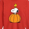 Boys' - Peanuts - Snoopy Woodstock Pumpkin Long Sleeve Graphic T-Shirt - 2 of 4