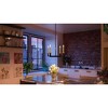 Urban Ambiance Luxury Modern Farmhouse Farmhouse Chandelier,  15-5/8" x 20",  Charcoal Finish, UHP2804 - 2 of 4