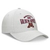 NCAA Minnesota Golden Gophers Unstructured Chambray Cotton Hat - Gray - 3 of 4