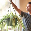 Bloem 12" Dura Cotta Round Resin Self-Watering Hanging Basket Planter with Macrame Cord - 2 of 4