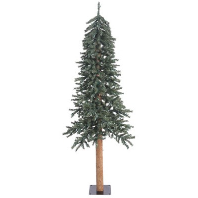 Vickerman 6' Natural Bark Alpine Artificial Christmas Tree, Unlit : Target