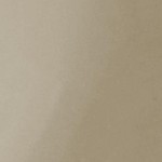 taupe gloss