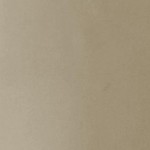 taupe gloss