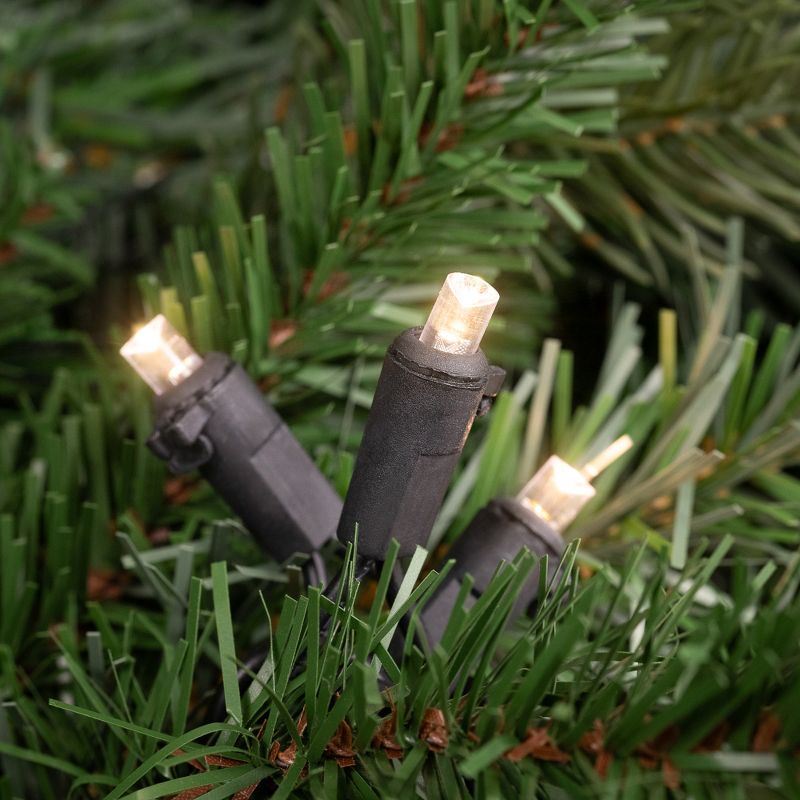 Northlight 50ct Warm White LED Wide Angle Christmas Lights - 16.25ft, Black Wire, 2 of 6