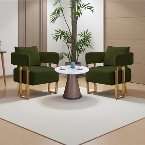 2-Piece Teddy Fleece Decorative Side Chair Set with Gold Metal Legs - 1 of 4