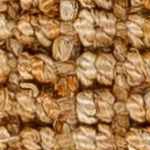 camel, brown, dark brown, light beige, tan