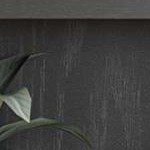 black oak