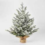 2.5' Unlit Flocked Glittered Balsam Fir Potted Mini Artificial Christmas Tree - Wondershop™