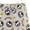 Harry Potter Gryffindor Fleece 2 Pack Pants - 4 of 4