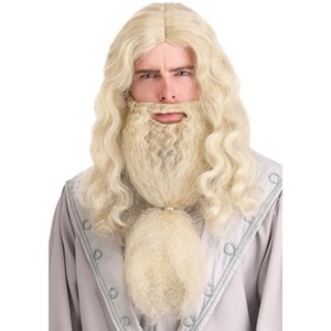 HalloweenCostumes.com One Size Fits Most   Headmaster Wizard Wig and Beard for Adults, Natural - 1 of 4