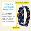 Country Brook Petz HossFit Jr Wide Martingale Dog Collar - Americana Collection - 4 of 4