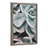18" x 24" Blake Botanical Succulent Plants 2 Framed Printed Glass by the Creative Bunch Studio Gray - Kate & Laurel All Things Decor - 4 of 4