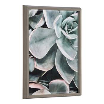 18" x 24" Blake Botanical Succulent Plants 2 Framed Printed Glass by the Creative Bunch Studio Gray - Kate & Laurel All Things Decor: UV-Resistant
