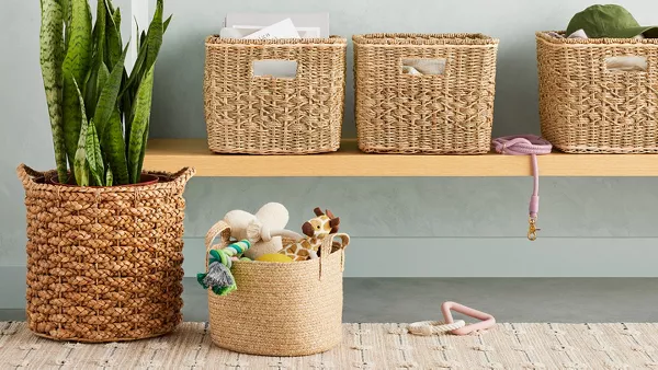 Citylife Small Plastic Storage Basket Bathroom Shelf Baskets Kitchen  Organizing Pantry Storage Bins Plastic Baskets with Handles Basket  Organizer for