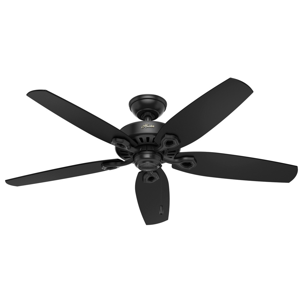 Photos - Fan 52" Builder Damp Rated Ceiling  and Pull Chain Matte Black - Hunter 