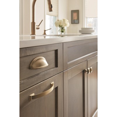 Golden Champagne Modern Rectangular Cabinet Knob with Mounting Hardware