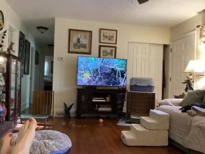 Guest review image 1 of 1, zoom in