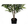 Monarch Specialties Artificial Plant 47 inch Tall Acacia Tree Indoor Faux Fake Floor Greenery Potted Silk Decorative Green Leaves Black Pot - 3 of 4