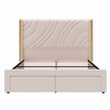 Merax Modern Velvet Upholstered LED Bed Frame with Wingback Headboard & Storage Drawers - 4 of 4